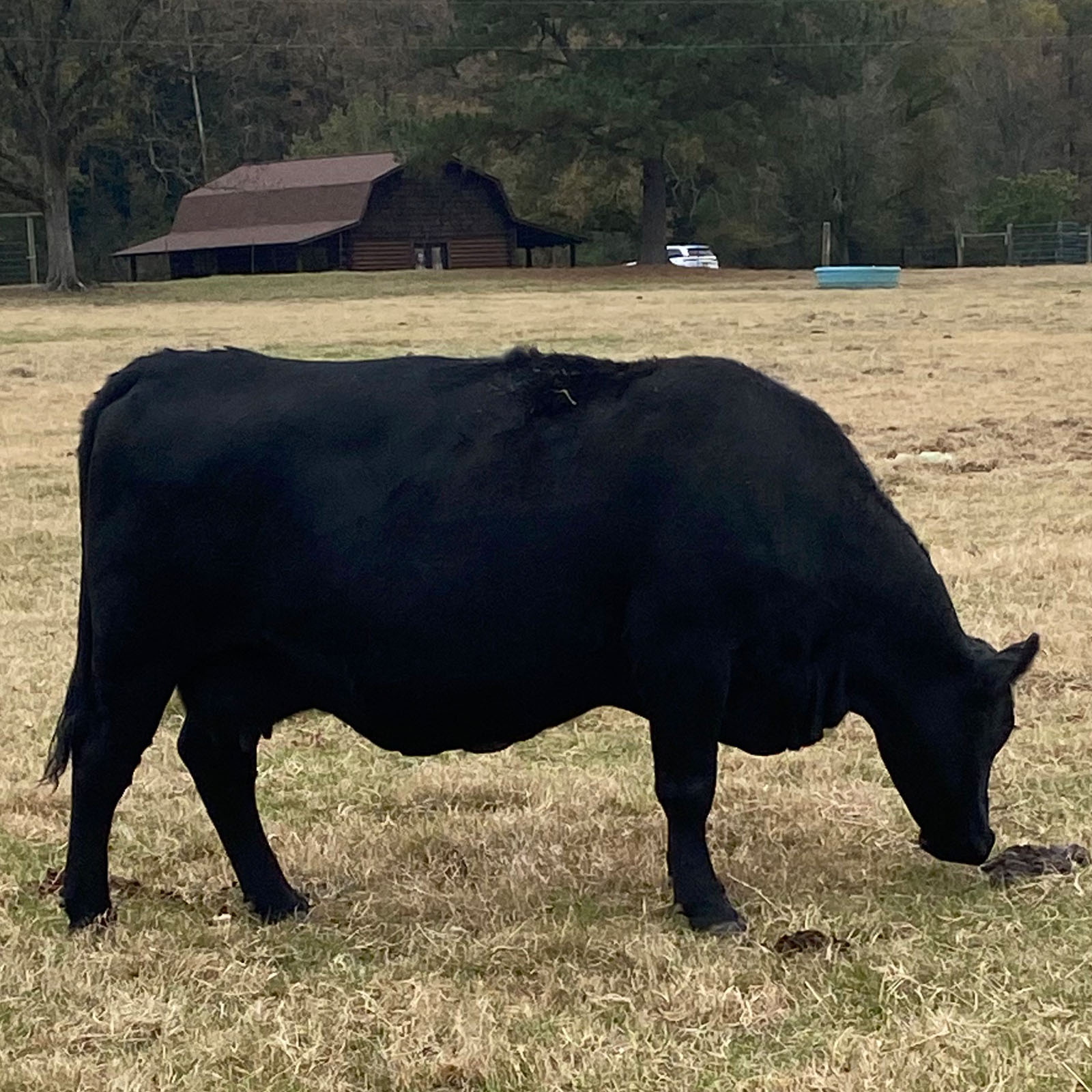 Davis Double D Farms Ranch