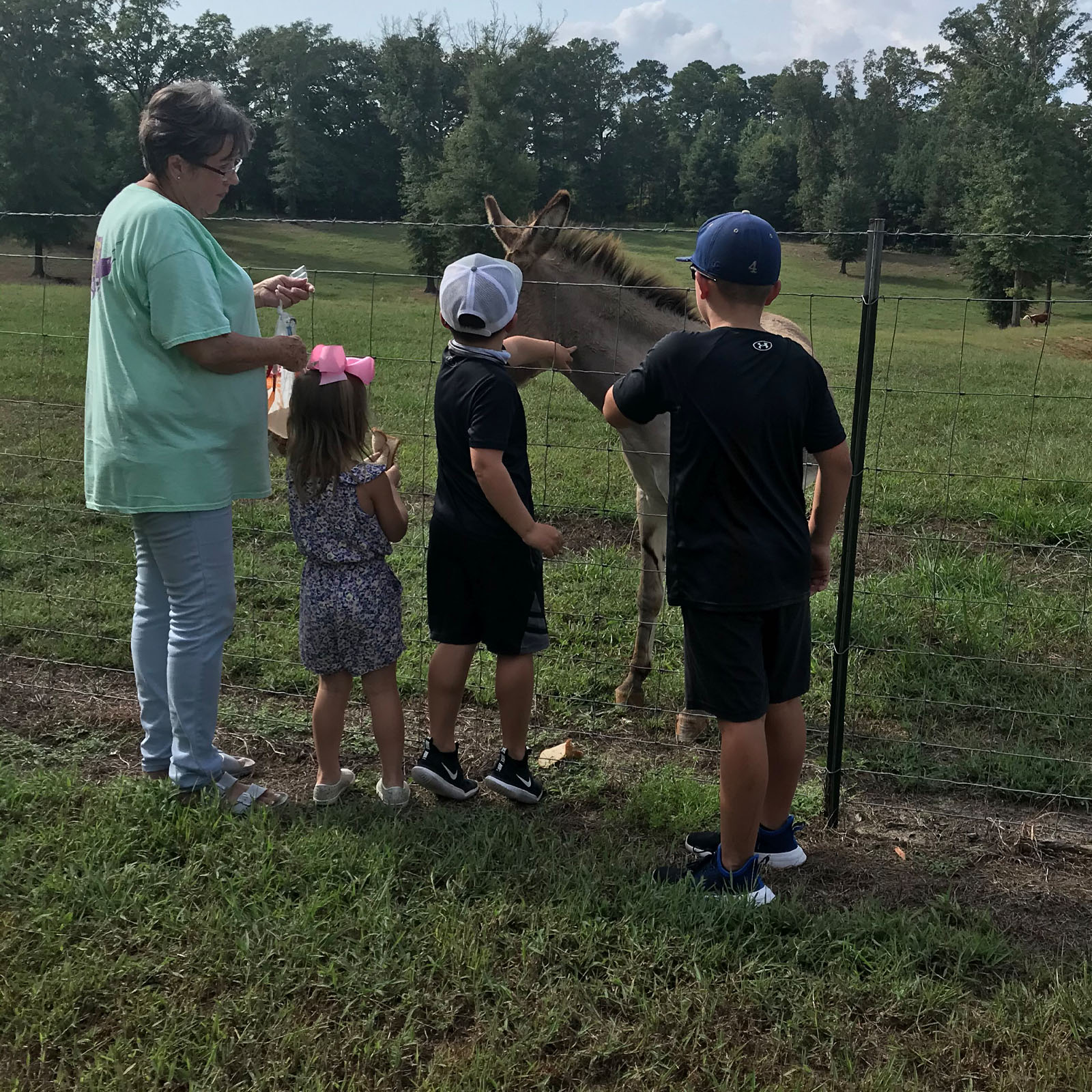 Davis Double D Farms Ranch