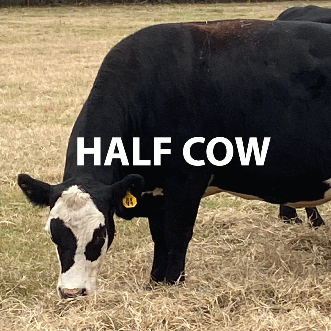 Half Cow