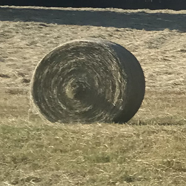 Round Hay Bales